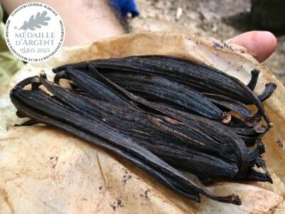 vanille pompona de guadeloupe cédric coutellier