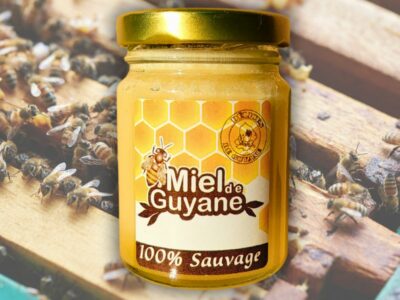 miel sauvage de guyane