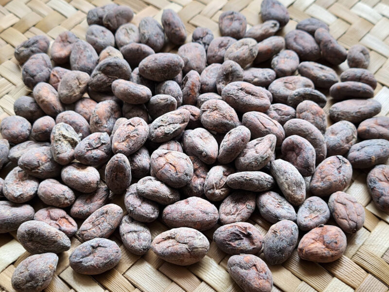 fèves de cacao criollo réunion