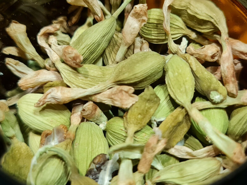 cardamone bio de guadeloupe