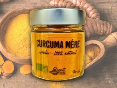 curcuma mère bio de la réunion