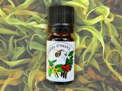 huile essentielle ylang ylang